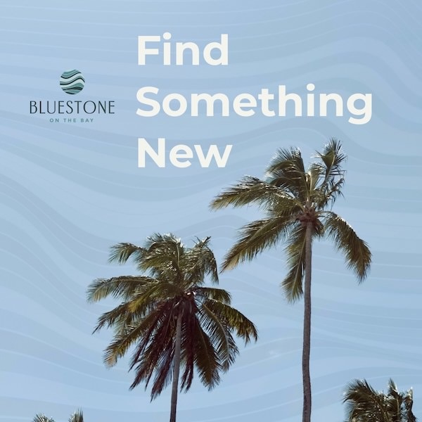 Neighborhood | Clearwater apartments for rent | Bluestone on the Bay
